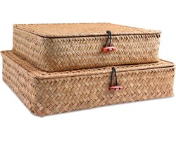 Plankmanden met deksels - Set van 2 rieten opbergmanden voor planken - Natuurlijk zeegras en rotan geweven - Organizerdozen voor Boho Home Decor