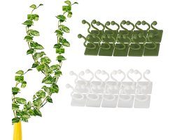 Plant Clips - Plantenclips - Klimplant Begeleider - Opbinden - Plant Steun - Tuin Clips - Kabel Organizer - Plantenclips Voor Aan De Muur - Voor Binnengebruik - Bevestigen Aan De Muur - Multi Toepasbaar - Herbruikbaar - Zelfklevend - Groen/Wit