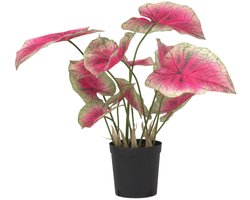 Plant in a Box - Kunstplant Caladium Engelenvleugels 60cm - Nepplant met Roze Bladeren - Realistische Kunst Kamerplant Zonder Sierpot - Potmaat 17cm - Kleurrijke Decoratie voor Huis of Kantoor