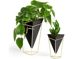 Planten- en wandvaas voor kamerplanten, vetplanten, luchtplanten, cactussen, kunstplanten en meer, set van 2