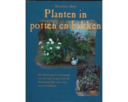 Planten In Potten En Bakken