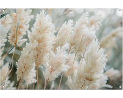 Planten poster - Natuur tuinposter - Tuinposter Gras - Buiten decoratie - Tuinaccessoires - Muurdecoratie tuinposter 105x70 cm