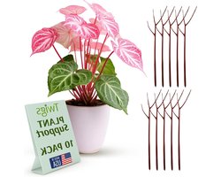 Planten Steunen - Stamhouder Structuren - Binnen en Buiten - Natuurlijke Integratie - 10 Stuks 56 cm - Begonia Rood
