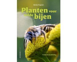 Planten voor wilde bijen