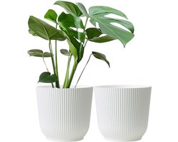 Plantenbak - Bak voor planten 22 cm grote witte plantenbak van kunststof set van 2 bloempotten voor binnen en buiten voor tuin en huis in mat wit geharde plantenpotten van hars - Oxford Plantenpot - Olly & Rose