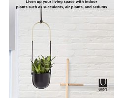 Plantenbak - Bak voor planten Hangende Zwart Umbra Bolo - Moderne Plantenpot met Ophangsysteem