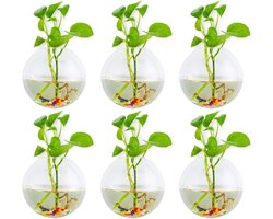 Plantenbak - Bak voor planten Muur hangende glazen plantenbakken bolvormige plantenpotten terrarium container vaas met kleurrijke stenen binnen buiten voor thuis tuin kantoor bruiloft