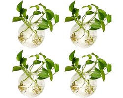 Plantenbak - Bak voor planten Muur Opknoping Glazen Plantenbakken - 10cm Diameter Ronde Glazen Plantenpot - Water Planten Vazen Lucht Bloem Vaas Plant Terraria Plant Container - Set van 4 Stuks