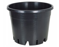 Plantenbak Blauwe Bes 39x30cm - 25L - Speciale Bodem