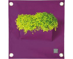 Plantenbak Bloomingwalls The Green Pockets AMMA1 - Purple