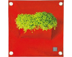 Plantenbak Bloomingwalls The Green Pockets AMMA1 - Red