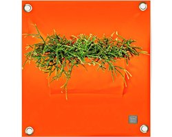 Plantenbak Bloomingwalls The Green Pockets - PEVA1 - Oranje