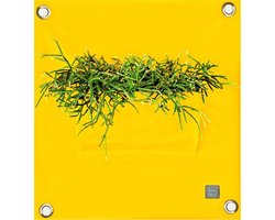 Plantenbak Bloomingwalls The Green Pockets PEVA1 - Yellow