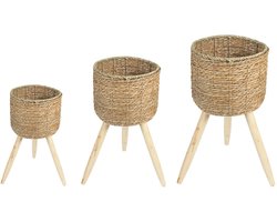 Plantenbak NAPARI met voet, Natuurlijk, Robuust zeegras en hout, Veelzijdig en decoratief, Bloempotenset - Hoofdafbeelding