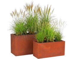 Plantenbak - set van 2 - langwerpig - staal