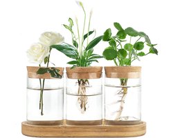 Plantenbakjes waterplanten glas met kurk en houten blad