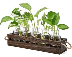 plantenbakken met houten standaard, dubbellaags met 5 glazen flessen voor kamerplanten, retro planten, terrarium, desktopvaas, voor plantenliefhebbers, hydrocultuur