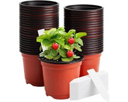 Plantenbakken Set - Tuinpotten Kweken - Planten Verpotten - Geoptimaliseerd Ontwerp - 100 Stuks - Niet gespecificeerd