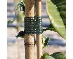Plantenband - Binddraad - Planten Steunen - Beschadigt Plant Niet - 3 cm x 50 m - Blauw