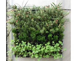 Plantenhanger 9 zakken - Plantenbak - Plantenrek - Hangende tuin - Verticale moestuin