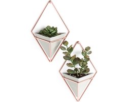 Plantenhanger set van 2 muurdisplay Umbra Trigg Beton koper