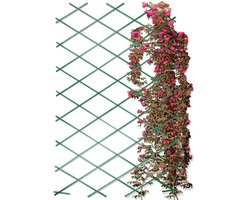 Plantenklimrek Groen Opvouwbare 200x100 cm - Klimrek - voor Planten - Klimplanten - Klimplantenrek - Plantensteun