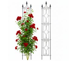 Plantenklimrek - set van 2 - 183 cm - metaal