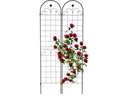 plantenklimrek set van 2 - 220x50 cm - metaal - zwart