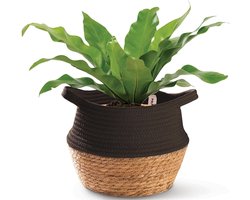 Plantenmand Zeegras & Katoen - Zwart - 25 cm
