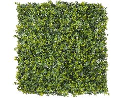 Plantenmuur - 1x1m - Ivy - Kunstof Paneel - UV-Bestendig - Waterbestendig