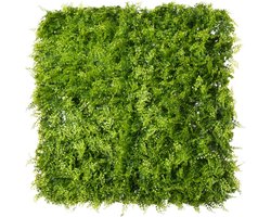 Plantenmuur - Kunststof Paneel - Fern - 1x1m - UV-Bestendig - Waterbestendig