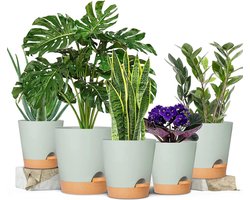 Plantenpotten 17,8/16,5/15,2/13,9/12,7 cm zelfwater gevende plantenbakken met afvoergat kunststof bloempotten kinderkamer bloempot voor kamerplanten Afrikaanse viooltjes groen