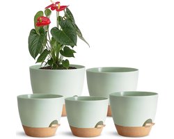 Plantenpotten Set - Bloempotten Kamerplanten - Binnen Tuinieren - Zelfbewaterend Systeem - 5 Stuks Maten - Groen