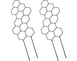 Plantenrek Set - Honingraat Rekken - Klimplanten Ondersteunen - Stevige Ijzeren Constructie - 2 Stuks - Zwart