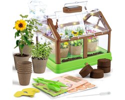 Plantenset Kleuterschool - Educatieve Planten - Leren over Planten - Veilig Materiaal - 389 cm - Groen