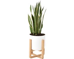 Plantenstandaard binnen 30cm breed - low height - bamboe hout nordic design