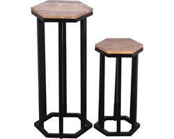 Plantenstandaard-Mangohout-2delig-Industrieel-Koloniaal Teakhuis