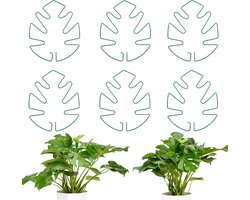 Plantenstandaards - 6 stuks - Monstera plantenstandaards - Plantenstamstandaards - Plantenstandaards binnen - Anti-doorzakstandaards - Duurzame - Monstera plantenstabiliserende standaards - Voor kamerplanten en klimplanten - Groente