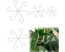 Plantenstengelhouder 4 Stuks - Plantensteunen voor Klimplanten - Plantensteun metaal - Plantensteun kamerplant - Tuinaccessoires - Transparant 13,5 cm.