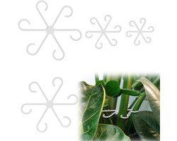Plantenstengelhouder 4 Stuks - Plantensteunen voor Klimplanten - Plantensteun metaal - Plantensteun kamerplant - Tuinaccessoires - Transparant 13,5 cm.
