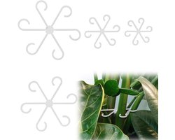 Plantenstengelhouder 4 Stuks - Plantensteunen voor Klimplanten - Plantensteun metaal - Plantensteun kamerplant - Tuinaccessoires - Transparant 13,5 cm.