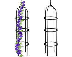 plantensteun klimplanten - set van 2 - 100 cm - metaal - kunststof - buiten - zwart