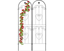 plantensteun set van 2 - 180 x 50 cm - steeksysteem - klimplantenrek vrijstaand - ijzer - zwart