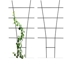 plantensteun - set van 2- 79 x 35 cm - metaal - voor plantenbak