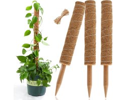 Plantensteun voor Monstera en Kaasplanten - Kokos Mos Paal - Hoogwaardige Ondersteuning - Verstelbaar - 3 Stuks - Geschikt voor Klimplanten - Natuurlijke Look - Groene Tuinaccessoires