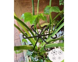 Plantensteunen – 4 stuks | Klimsteunen voor Kamerplanten & Tuinplanten | Plantenbinder | Herbruikbare Stengelhouders van Kunststof | Groeiaccessoires voor Klimplanten, Tomaten, Monstera, Orchidee & Kruiden (Groen)