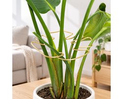 Plantensteunen - 5 stuks - metaal - met ringen - voor klimplanten - voor binnen - ondersteuning voor bloeiende groei - goud