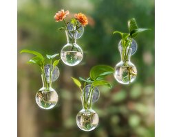 Plantenvermeerderingsstation voor raam: 4 kleine bolvormige vaasjes met zuignappen – voor decoratie in woonkamer, keuken of kantoor. Hangend glazen terrarium voor hydrocultuurstekken.