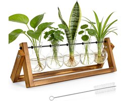 Plantenvermeerderingsstations inclusief 5 glazen ballen, retro houten standaard en roterende metalen houder, geschikt voor hydrocultuurplanten (planten niet inbegrepen)