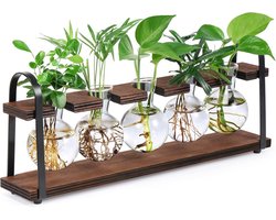 Plantenvermeerderingsstations met houten standaard, desktop retro plant terrarium bolvaas voor indoor hydrocultuur bloemen, tafelblad glazen plantenbak housewarming geschenken voor